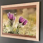 Le Des Abeilles Holiday home