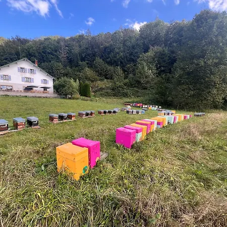 Le Des Abeilles
