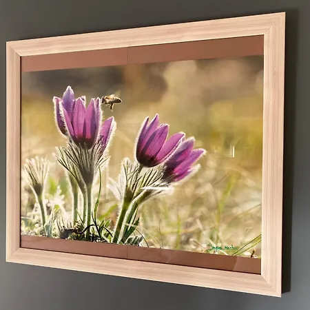 Le Des Abeilles بيت للعطل