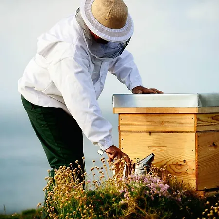 بيت للعطل Le Des Abeilles Rupt-sur-Moselle