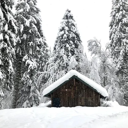 Le Des Abeilles Tatil Evi Rupt-sur-Moselle