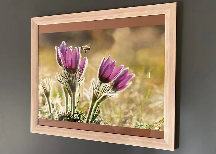 Le Des Abeilles Prázdninový dům