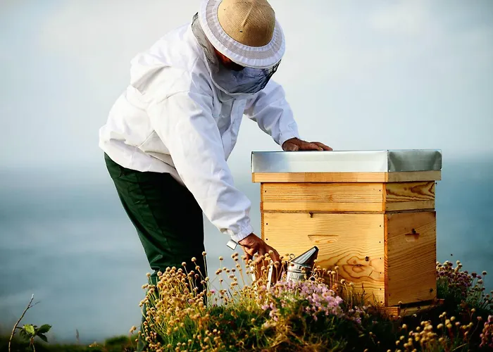 Prázdninový dům Le Des Abeilles Rupt-sur-Moselle