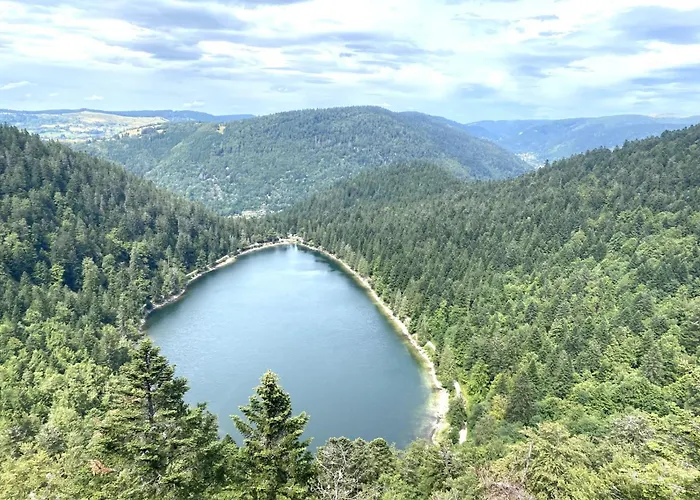 Le Des Abeilles Hébergement de vacances *